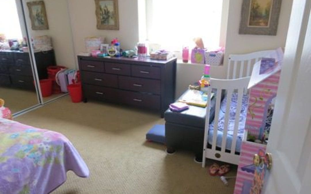 Family Life Today:  Domestic Tranquility