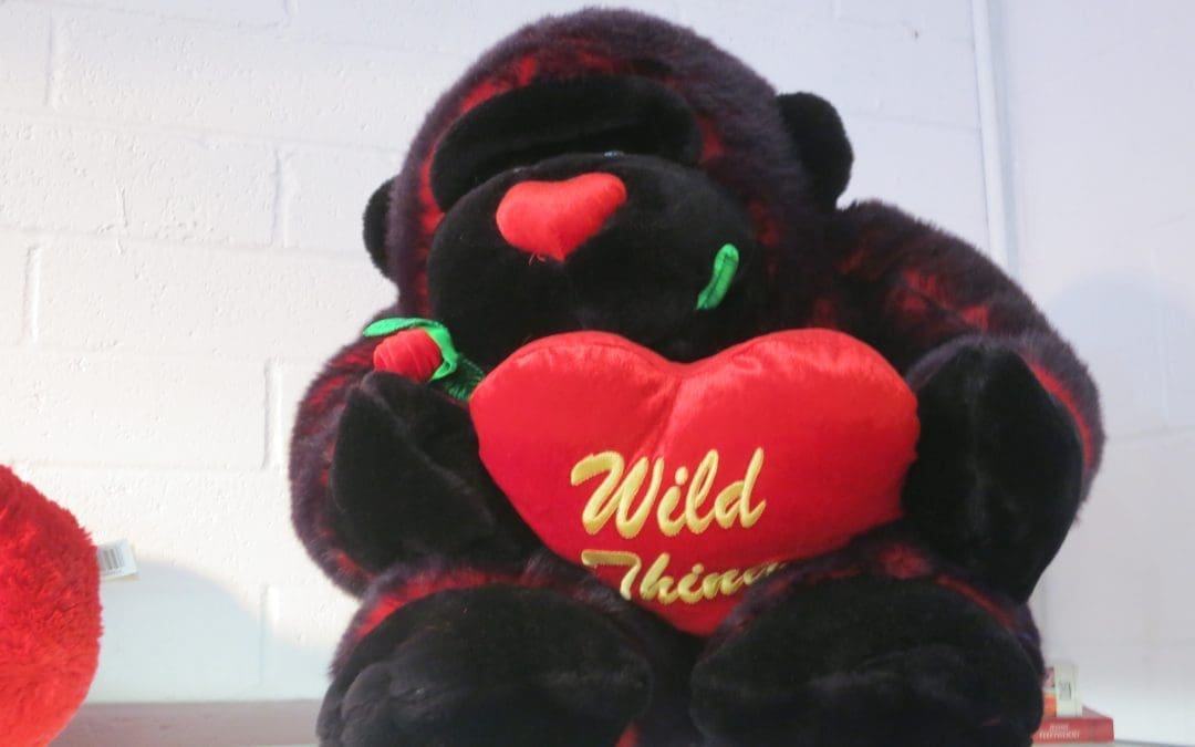 Happy Valentine’s Day