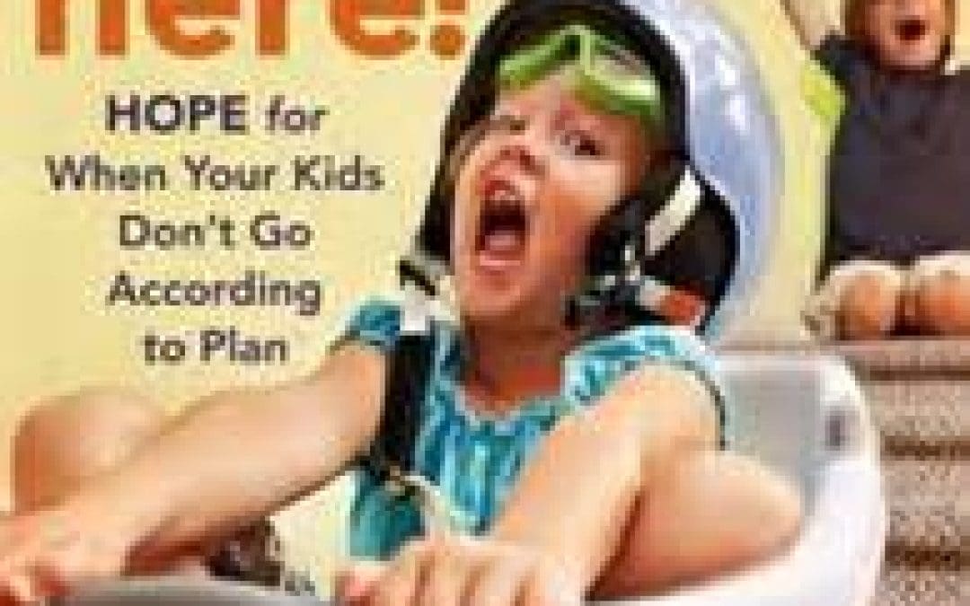 Book Giveaway:  I Need Some Help Here! by Kathi Lipp
